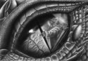 The Eye of the Fight (B/W version)