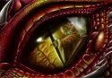 The Eye of the Fight (Coloured version)